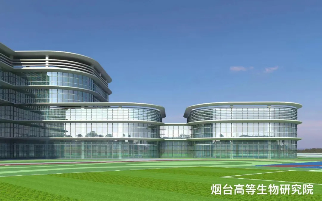 大跨度 高精度 超節(jié)能|鳳鋁助力煙臺城市更新，展登州新貌